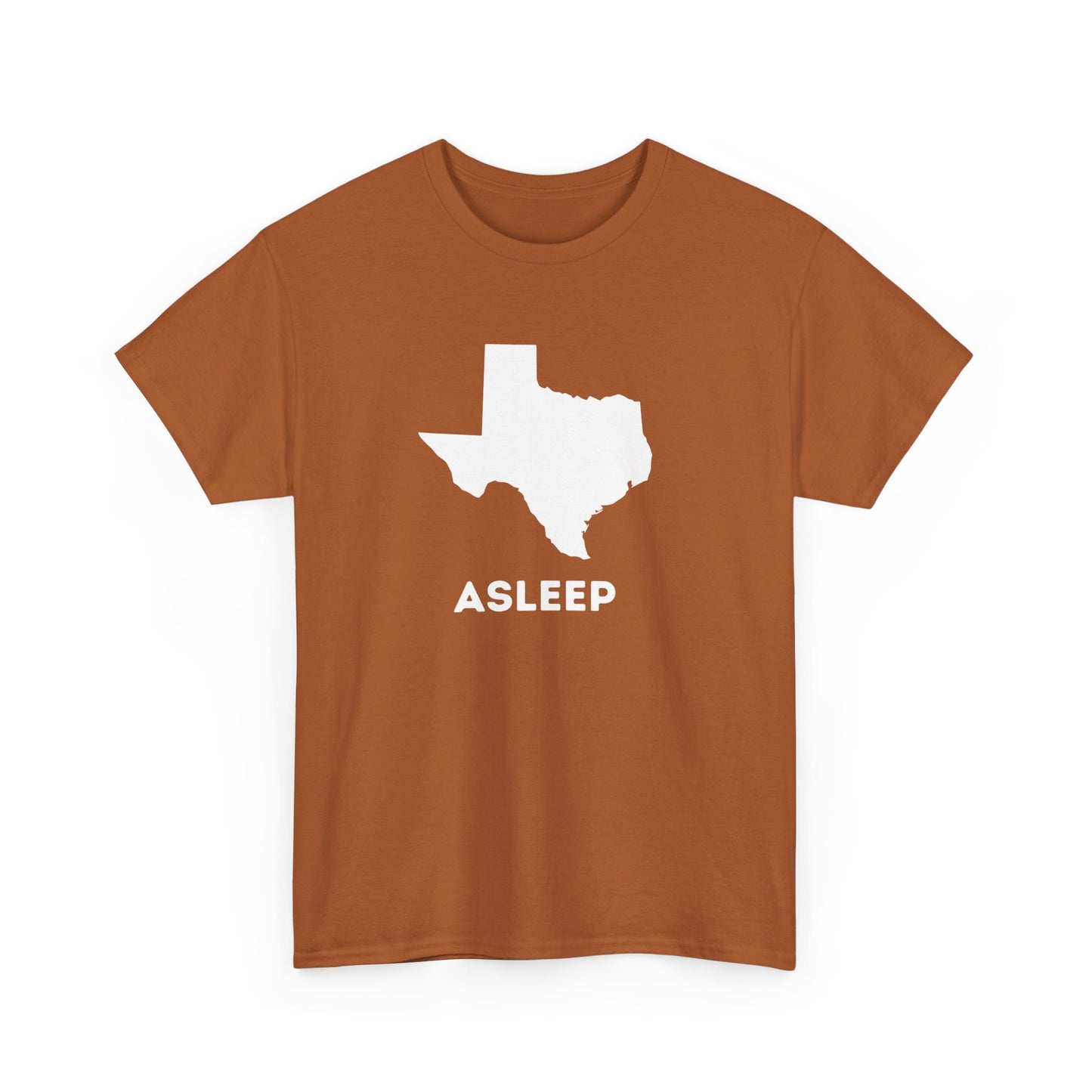 Asleep in TX