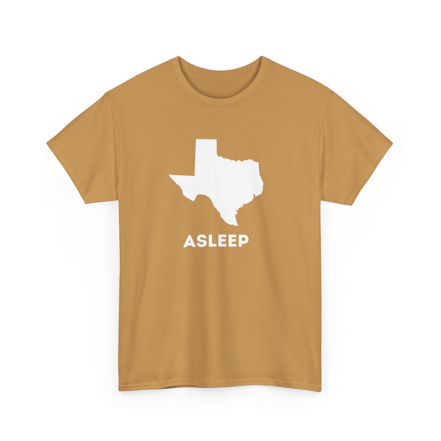 Asleep in TX
