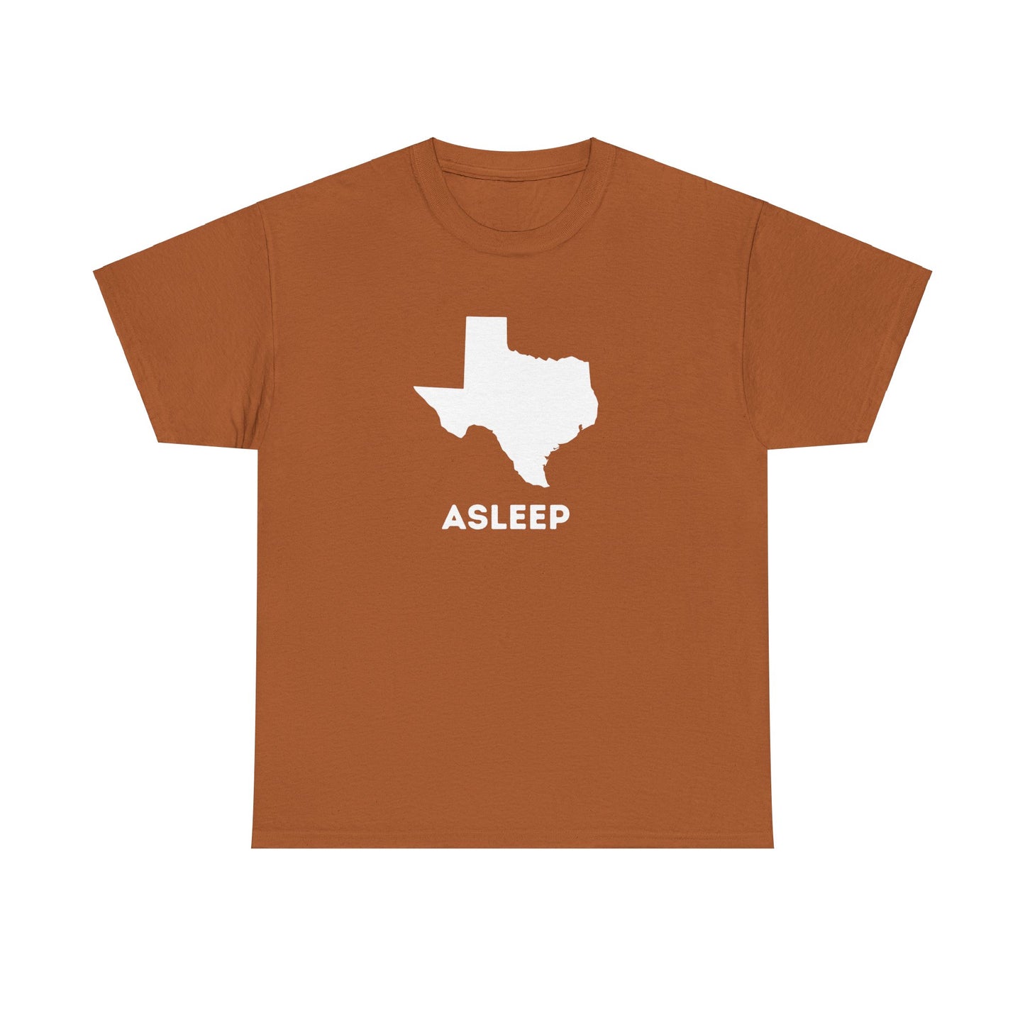 Asleep in TX