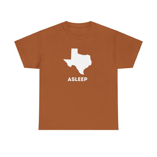 Asleep in TX