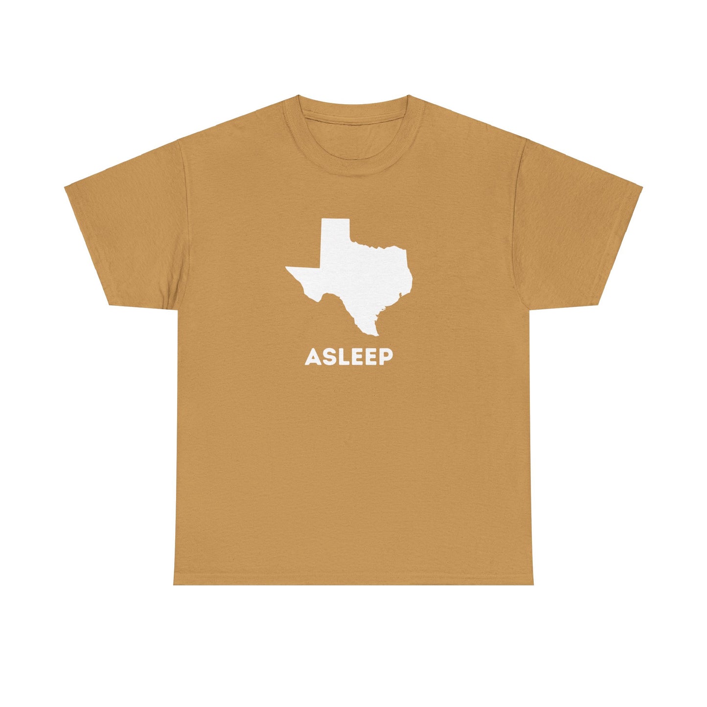 Asleep in TX